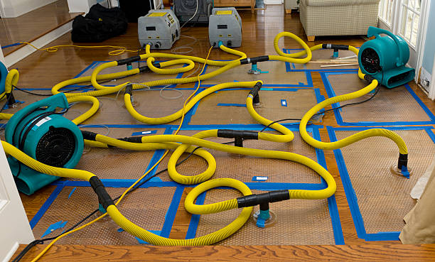 Professional Basement Flood Cleanup technician working in Harvey, LA